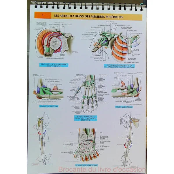 Planches D'Anatomie (cahier en spirale grand format)