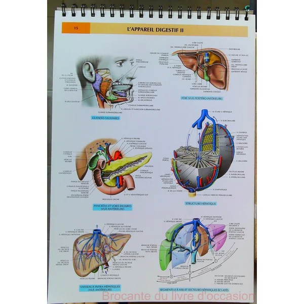 Planches D'Anatomie (cahier en spirale grand format)