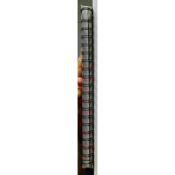 Planches D'Anatomie (cahier en spirale grand format)
