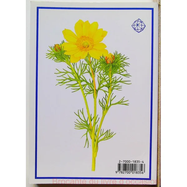 Plantes vivaces