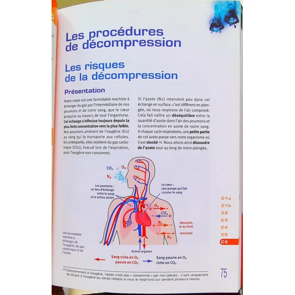 Plongée Plaisir Niveau 2 - Premiers pas vers l'autonomie