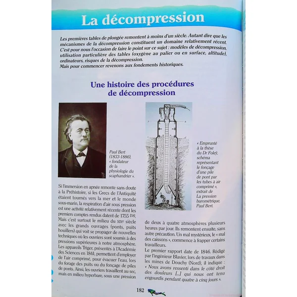 Plongée plaisir, niveau 4 et 5 - Conduite de palanquee et Direction de plongée