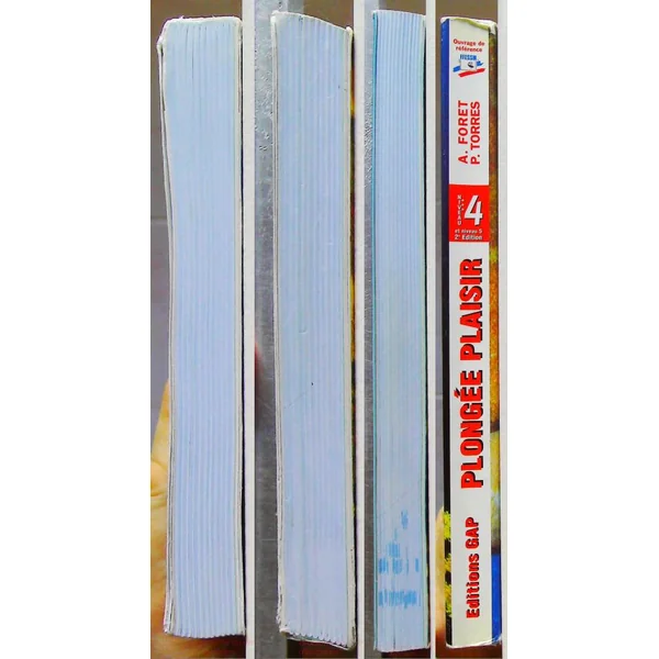 Plongée plaisir, niveau 4 et 5 - Conduite de palanquee et Direction de plongée