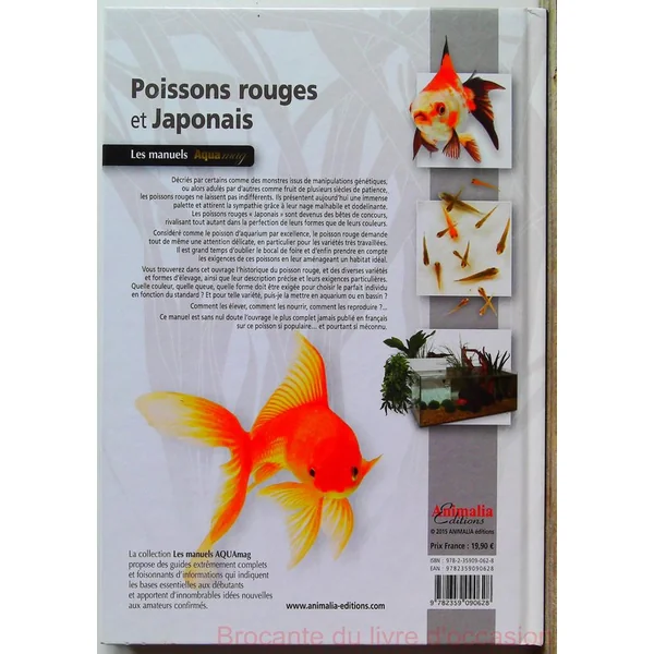 Poissons rouges et Japonais