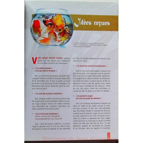 Poissons rouges et Japonais