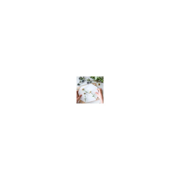 Presse à fleurs - Le Jardin du Moulin