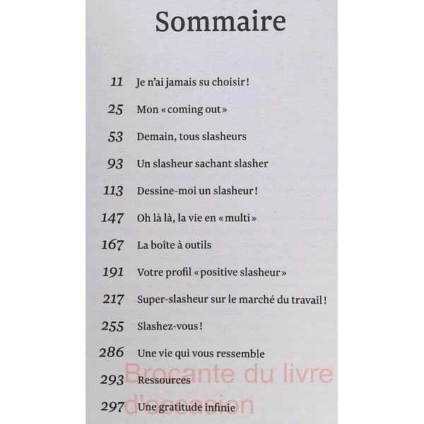 Profession Slasheur