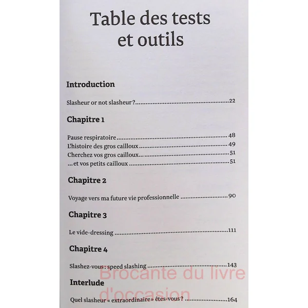 Profession Slasheur