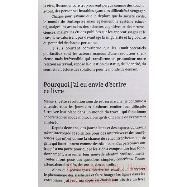 Profession Slasheur