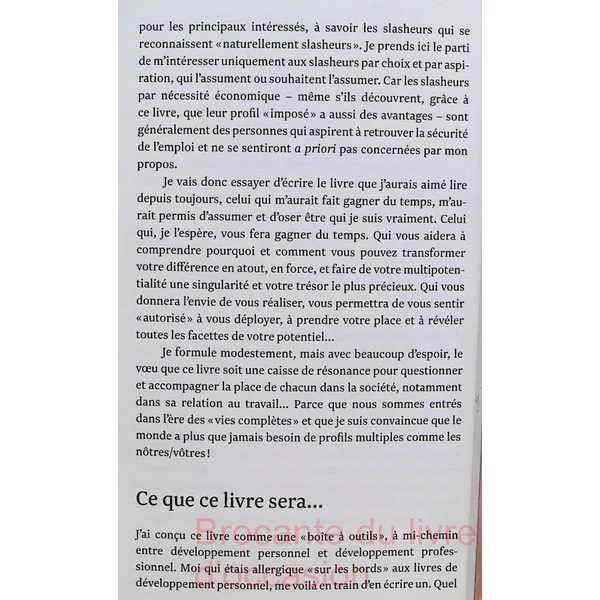 Profession Slasheur