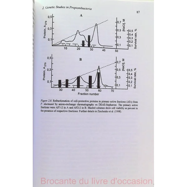 Propionibacteria Livre en Anglais
