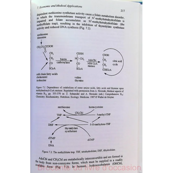 Propionibacteria Livre en Anglais
