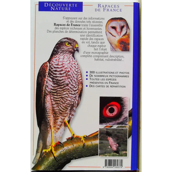 Rapaces de France