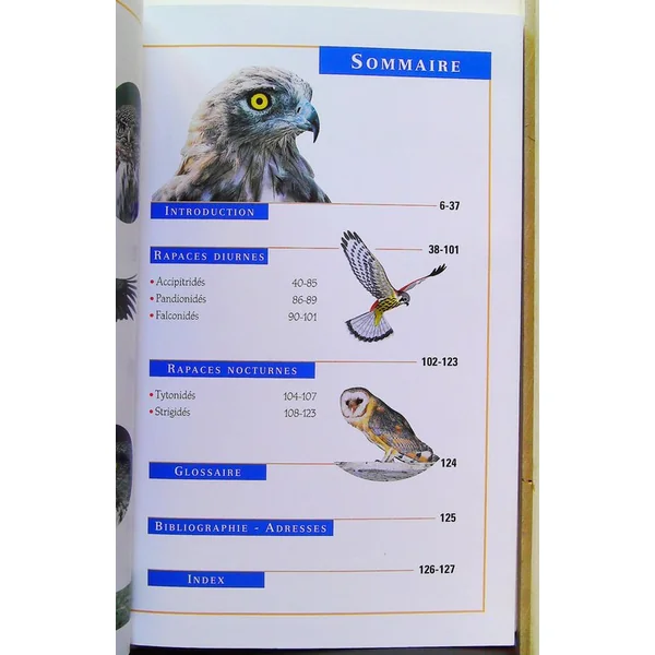 Rapaces de France