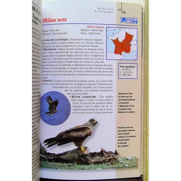 Rapaces de France