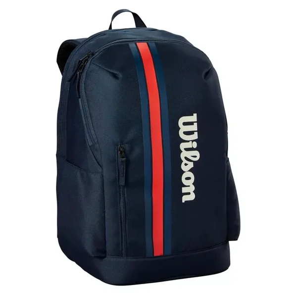 Raquette Wilson Burn 100 LS V5.0 (280g)