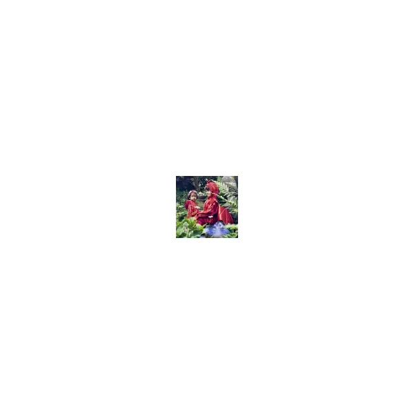 Red dragon jumpsuit - child costume
