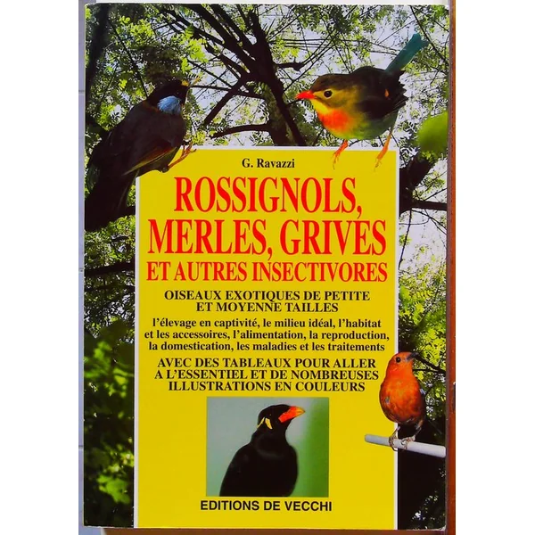 Rossignols, merles, grives et autres insectivores-