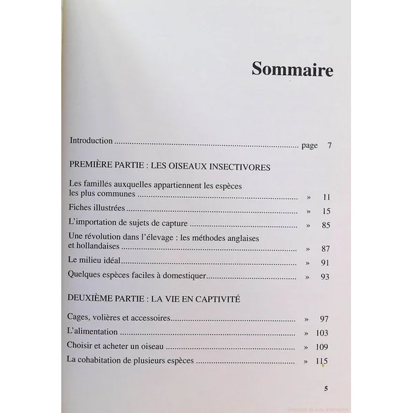 Rossignols, merles, grives et autres insectivores-