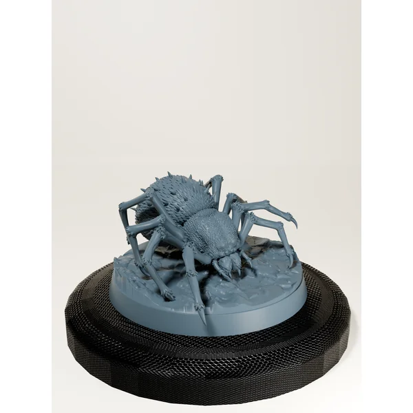 Set araignées géantes