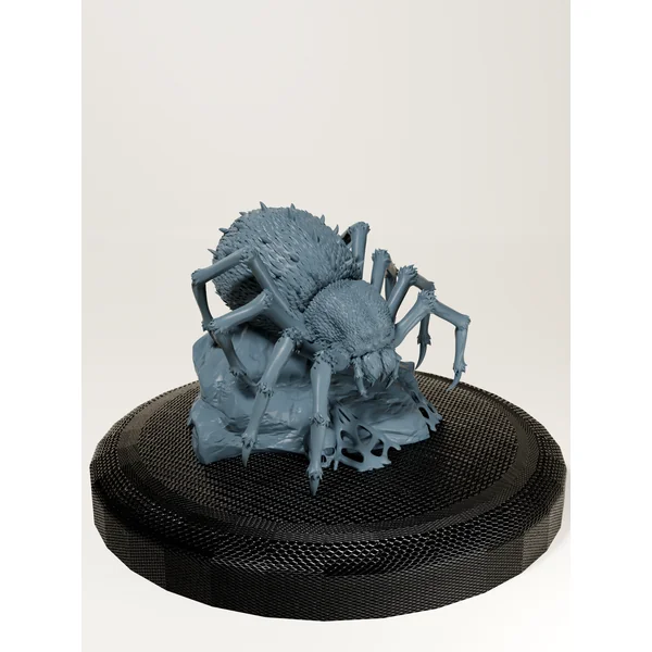 Set araignées géantes