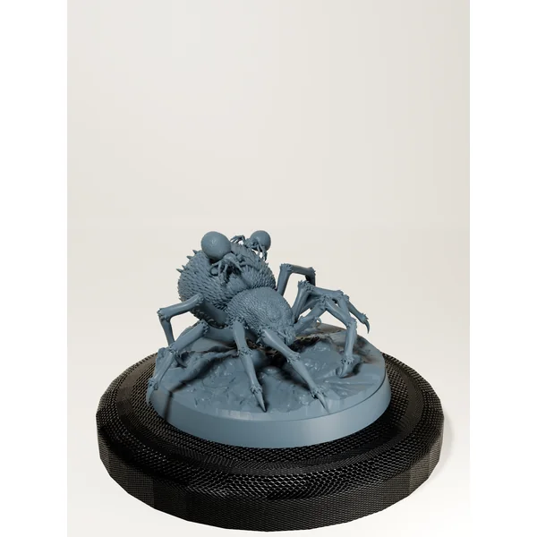 Set araignées géantes