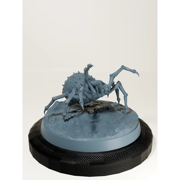 Set araignées géantes