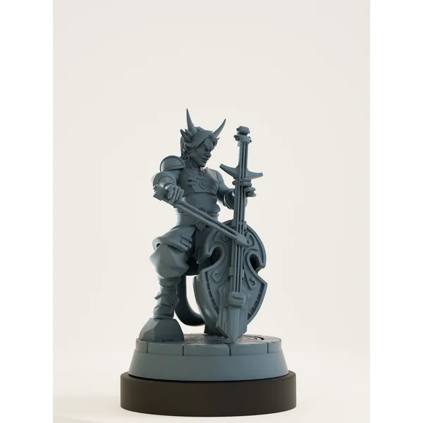 Set bardes avec violoncelle