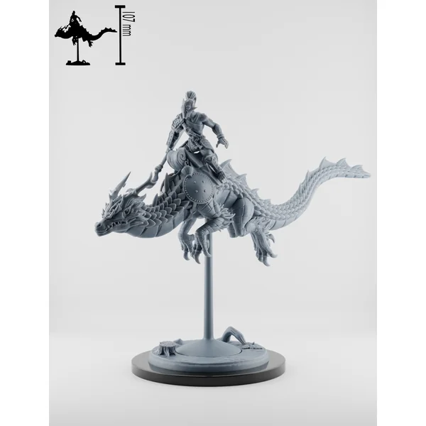 Set Chevaucheurs de Dragons - Moines Singes