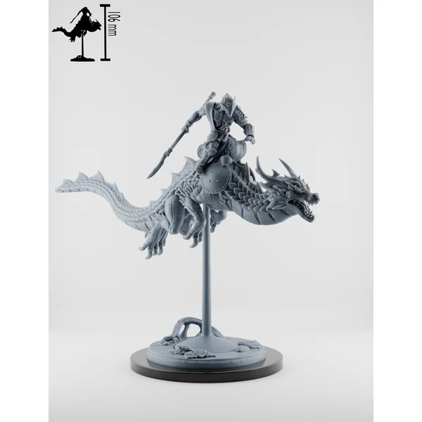Set Chevaucheurs de Dragons - Moines Singes