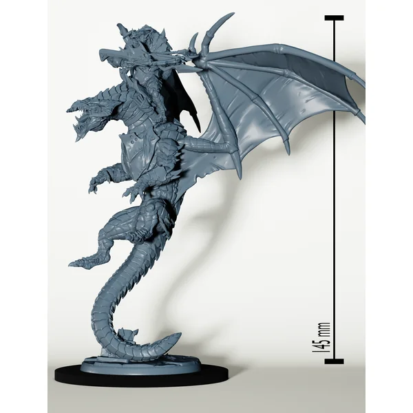 Set Draconiens Chevaucheur de Dragon