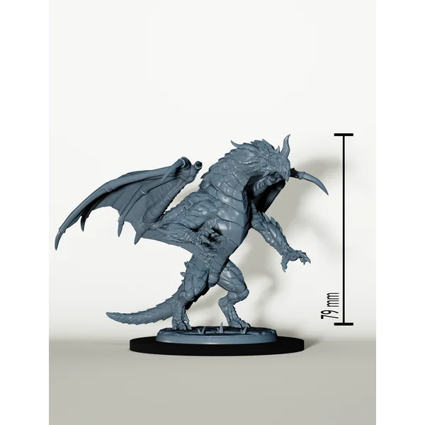 Set Draconiens Chevaucheur de Dragon