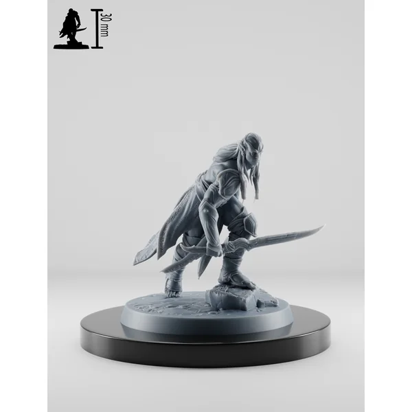 Set Elfes Noirs d'Élite - Les Lames du Vide