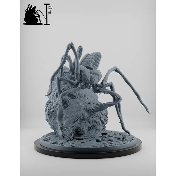 Set Elfes Noirs - Les Traqueurs Rampants