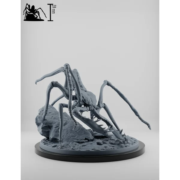 Set Elfes Noirs - Les Traqueurs Rampants