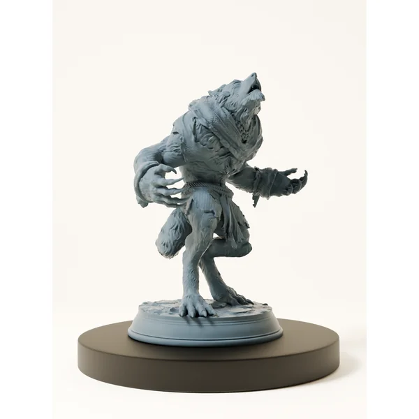 Set Loups guerriers