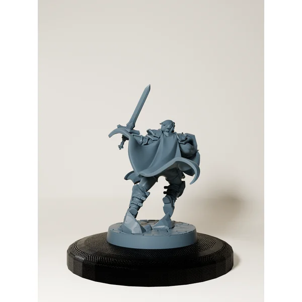 Set Paladins de la Lumière Sacrée
