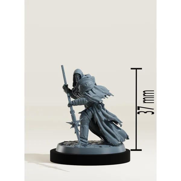 Set paladins de la pureté