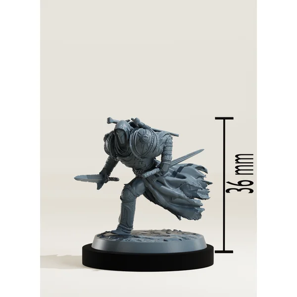Set paladins de la pureté