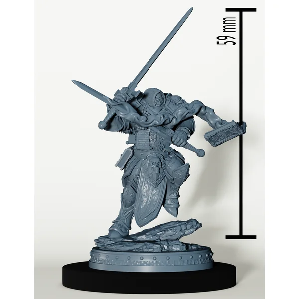 Set Paladins des Cendres Maudites