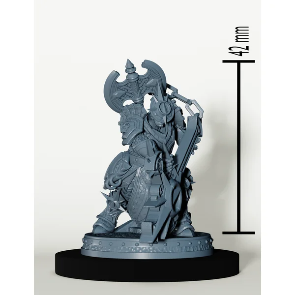 Set Paladins des Cendres Maudites