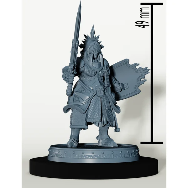 Set Paladins des Cendres Maudites