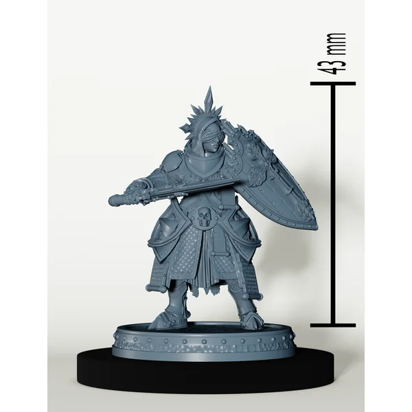 Set Paladins des Cendres Maudites