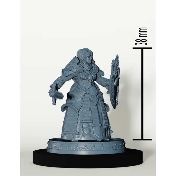 Set Paladins des Cendres Maudites