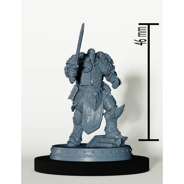 Set Paladins des Cendres Maudites