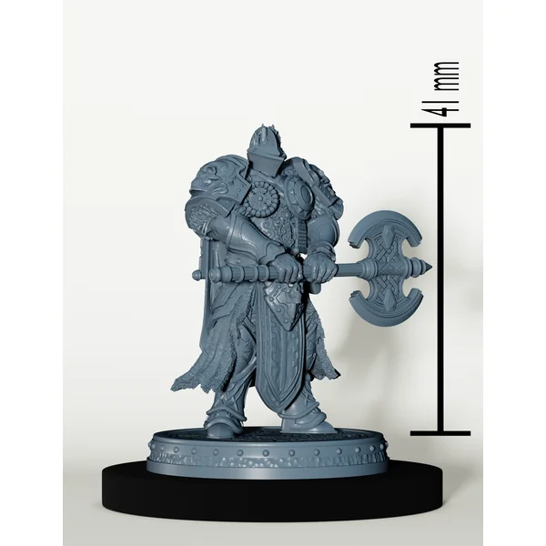 Set Paladins des Cendres Maudites