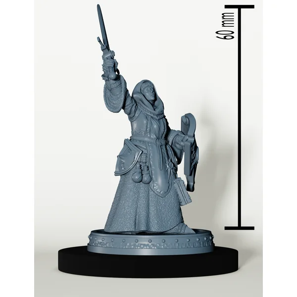 Set Paladins des Cendres Maudites