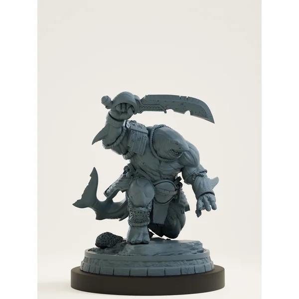 Set requins pirates