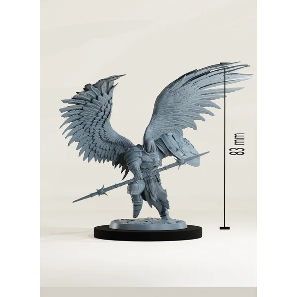 Set Solars paladins célestes