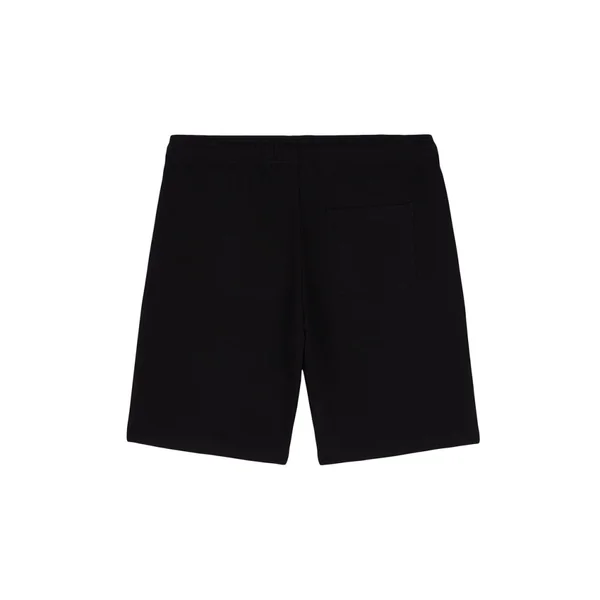 Shorts Dickies Mapleton Noir